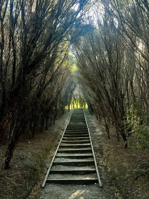 🇳🇿 Super Scenic Hiking Trail in East Auckland | Perfect for Beginn📍