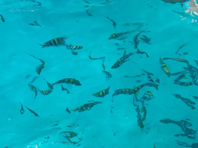 🇹🇿 Zanzibar 2-Day Itinerary | Safari Prequel Adventure