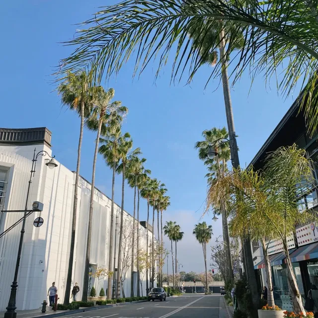 🎬 Los Angeles LA | Oscars Museum - A Must-Visit for Film Buffs 🎬