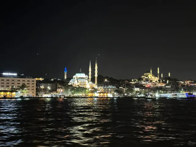 🇹🇷 Istanbul’s #1 Must-Do: Ferry Ride & Seagull Feeding! 🚢🌊