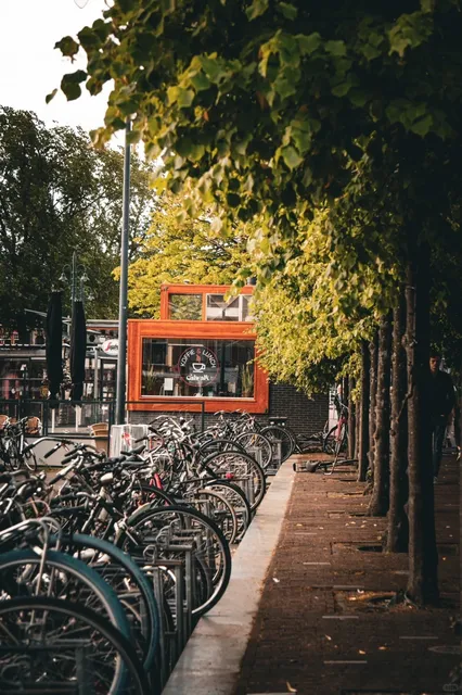 🇳🇱 Leiden | A Historic Dutch University Town Perfect for Strolling