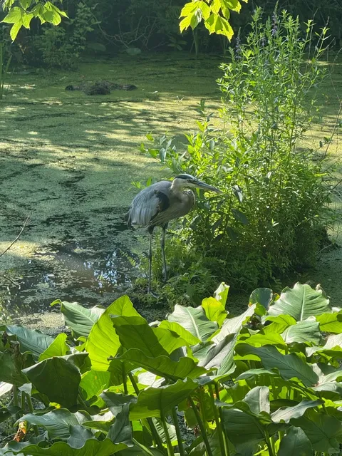 3 Days & 2 Nights Trip: Cleveland + Pittsburgh - Day 1 ✨