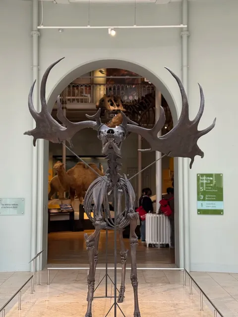 🏴󠁧󠁢󠁳󠁣󠁴󠁿 Edinburgh's Museum Magic: Where History Meets Aesthetic