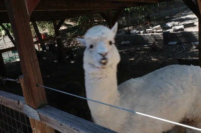 Charming Sonoma: A Perfect Day Trip North of San Francisco