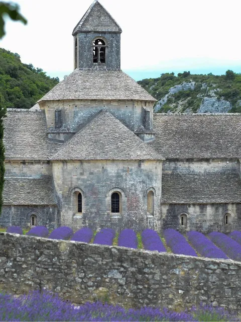 🇫🇷 Avignon Road Trip: Must-See Gems in Southern France