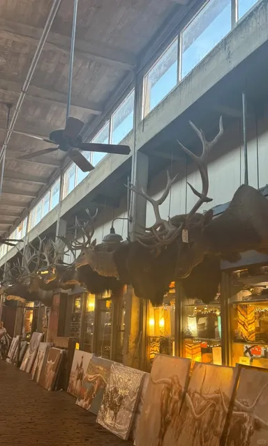 Dallas is So Much Fun for Studying Abroad!!