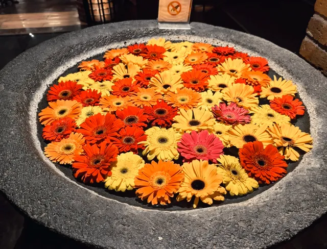  La Terquila - A Tequila Lover's Paradise