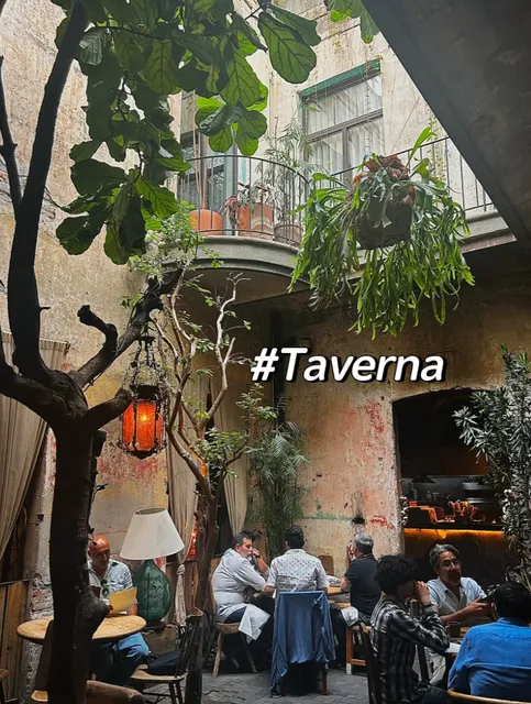 A Hidden Oasis in Mexico City | Where Design Meets Flavor