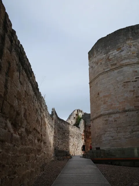 🏰 Zamora: An Amber Relic of Time