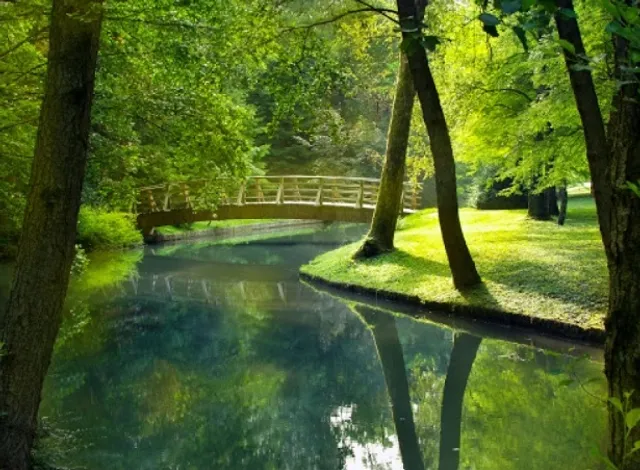 The Green Jewel of Kranj: A Guide to Strolling Through Park Brdo