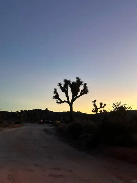 Southern CA Family Trip | 5 Days in Palm Springs with Kids 🏜️🌵