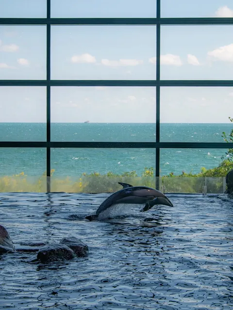 🇺🇸 Chicago 3-Day Step Crusher Guide (30,000 Steps/Day!) 🚶♂️💨