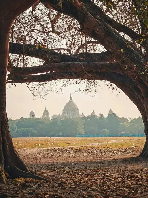 Dhaka's Chaotic Charm: A Survival Guide