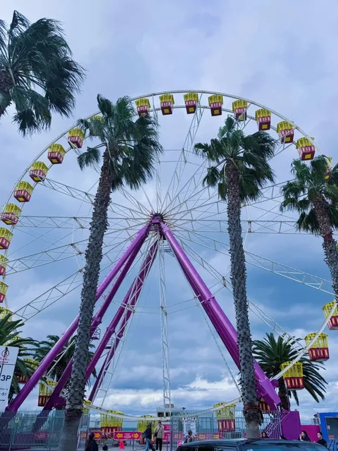 🇦🇺 Melbourne to Geelong Day Trip Guide