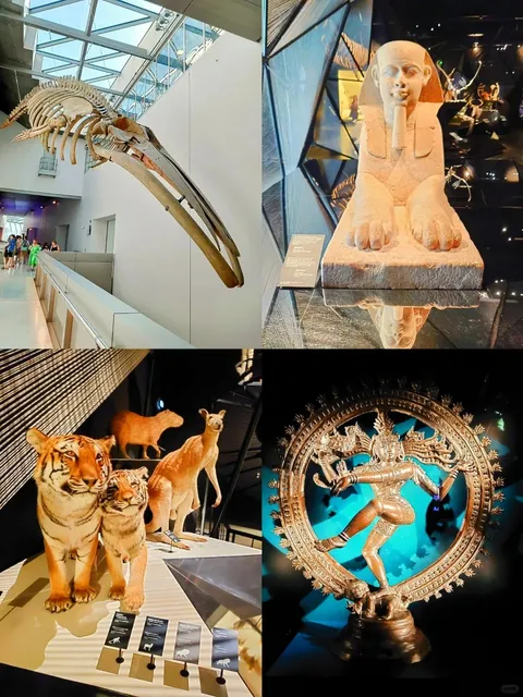 🇲🇫 There's an Amazing Museum of Anthropology in Lyon, France! ❗