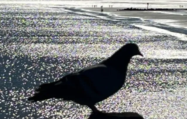 Tybee Island Pier & Pavilion | Savannah's Classic Beachfront Landmark