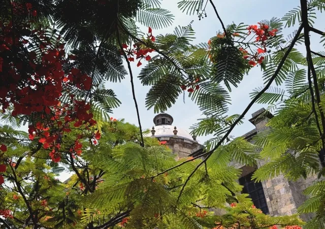 Mexico Plog Episode 3 — A Fleeting Glimpse of Guadalajara