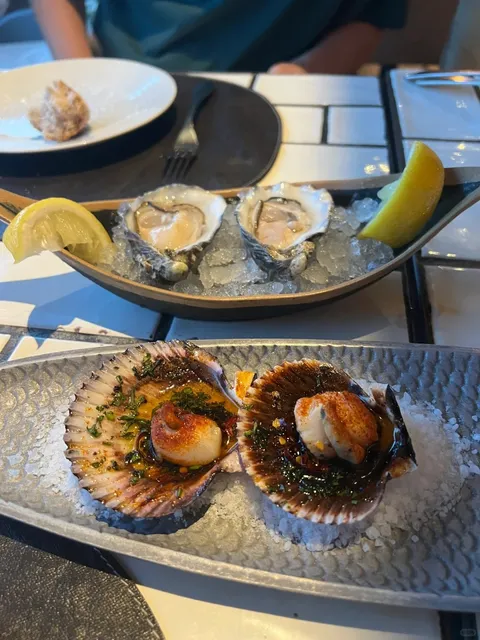 Madrid Restaurant Recommendation 🇪🇸 | Panorama Oyster Bar 🦪