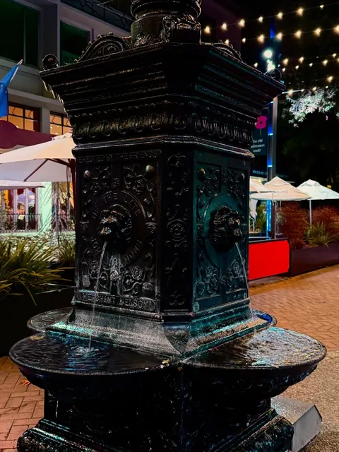 🌙 Night in Nelson, New Zealand 🇳🇿