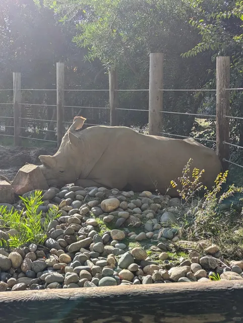 Sacramento Zoo – A Wild Day Out in California’s Capital
