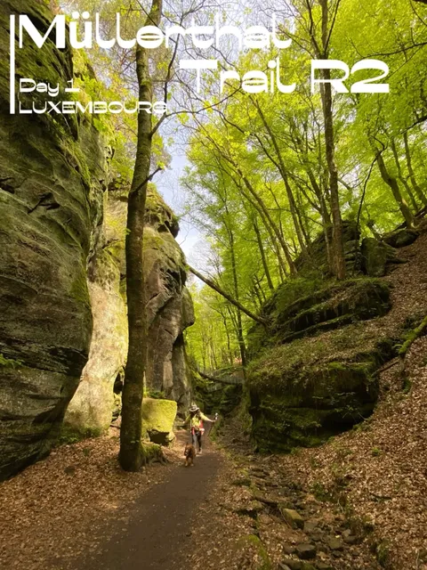 Hiking the Müllerthal Trail | Where Stone Giants Meet Enchanted Forest