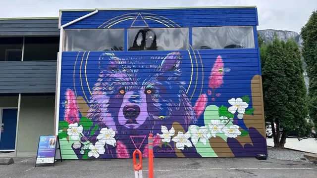 Squamish Town [Topic] Vancouver Life