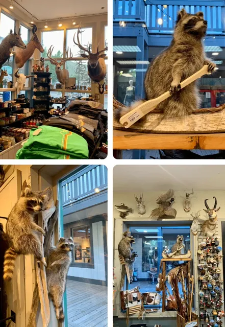  Jackson Town: A Gem of the American West