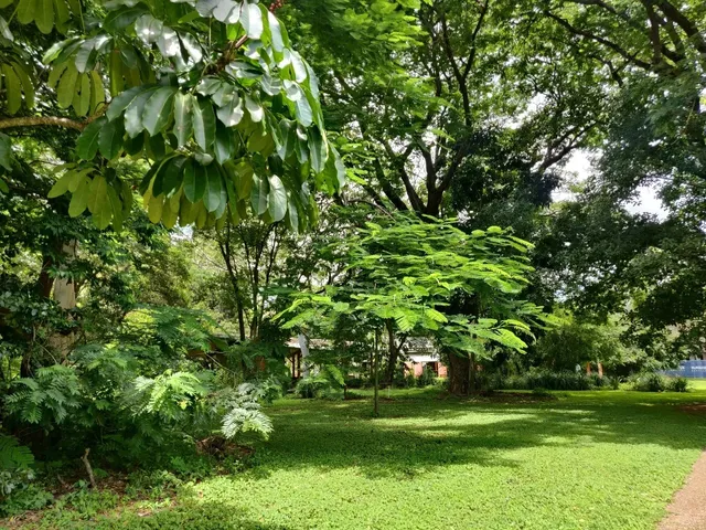 Townsville: Where Australia’s Wild Heart Beats Loudest 🌿🇦🇺