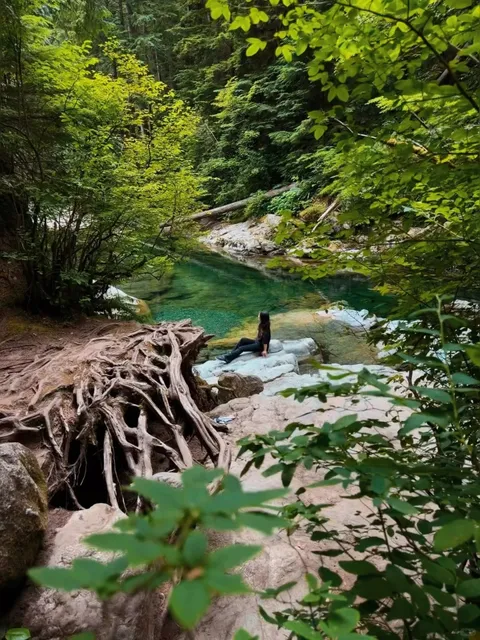 🇨🇦 Lynn Canyon Park | Vancouver's FREE Suspension Bridge Adventure  