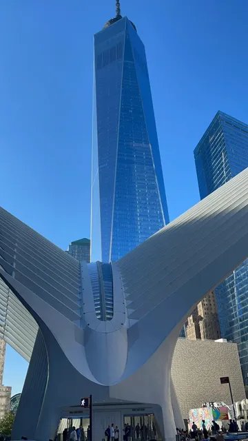 🗽 NYC Day 4 Adventure: NYU & Brooklyn Bridge!