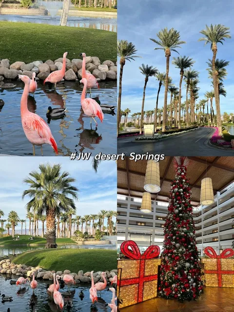 🇺🇸 Palm Springs Travel & Food Guide 🏜️✨