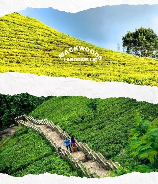 The Most Worthwhile Places to Visit in Sri Lanka--Nuwara Eliya