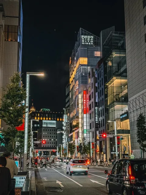 Ginza City Walk 🌸🌺