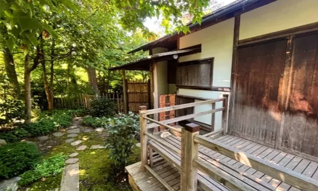 🌸 Como Park Japanese Garden| A Serene Retreat in Saint Paul