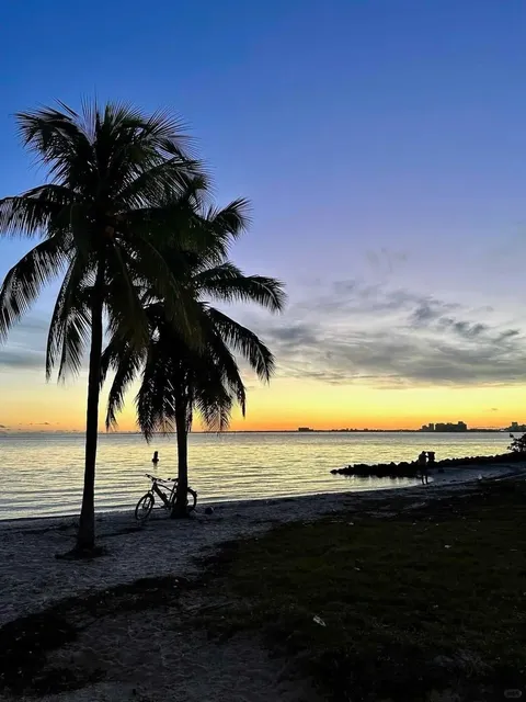 Every Day in Tampa Feels Like a Vacation! 🏖️