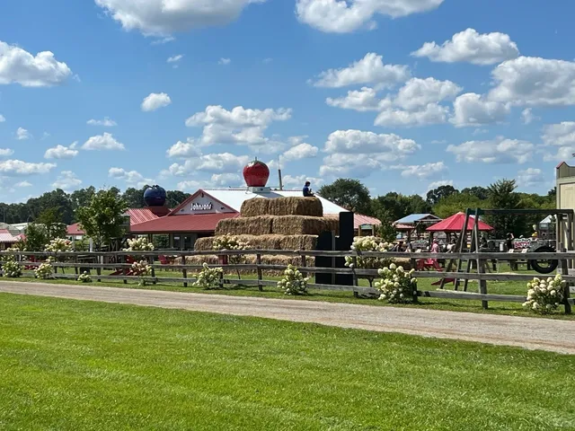 🇺🇸 Labor Day Fruit & Flower Picking near Chicago! 🍉🌻🍅