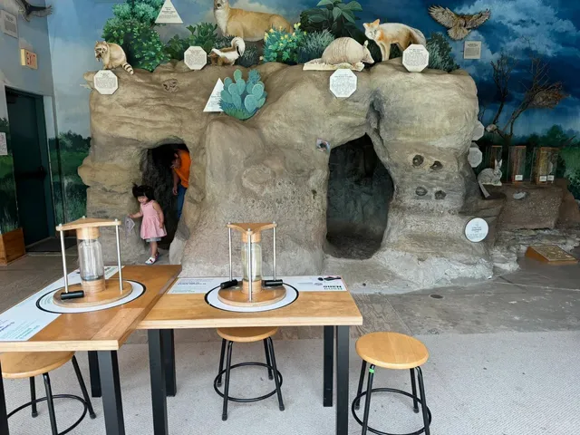 Austin Nature & Science Center: Toddler Paradise! 🌿👶💦