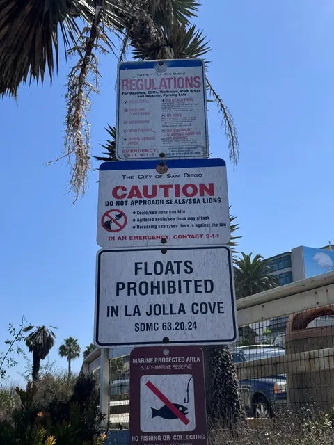 🇺🇸 San Diego SD｜🤿 One of the Best Diving & Snorkeling Spots