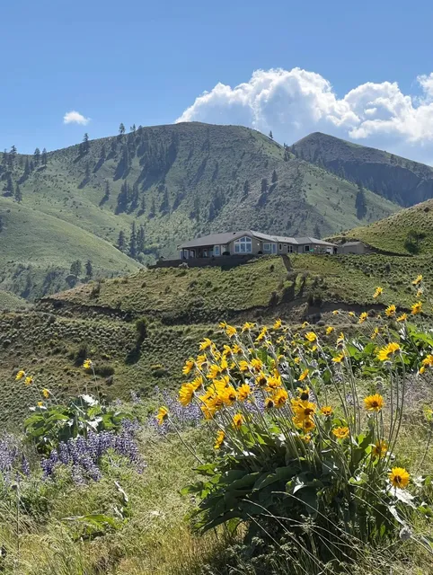 LIVE｜Wildflower Season Around Seattle