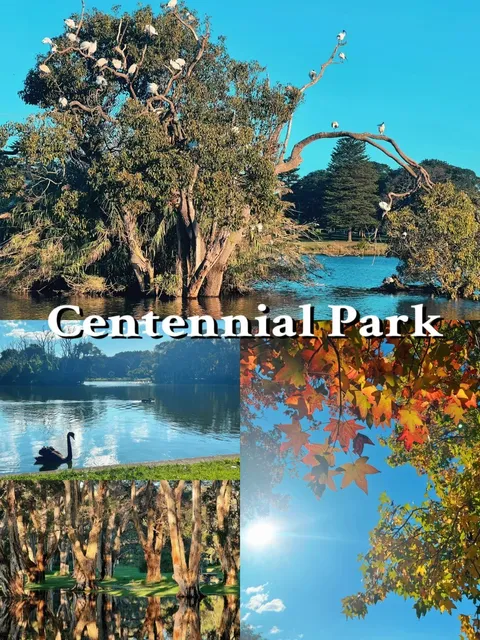 Centennial Park | The “Lungs of the City” Hidden in Sydney’s CBD