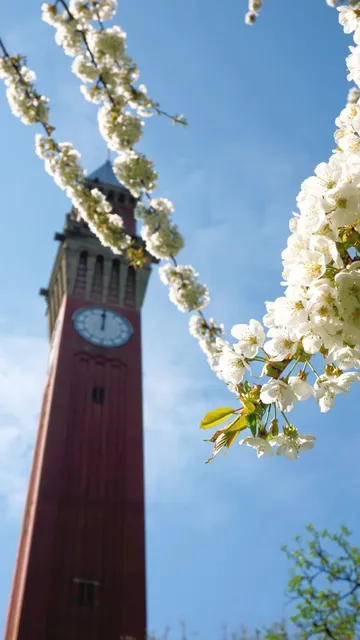 Birmingham Through My Lens: A City of Contrasts