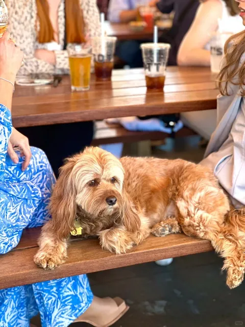 🚨 Must-visit in Napa Valley! 🍔