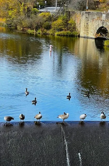 The North Park: Where Autumn Paints Every Path 🎨🍂
