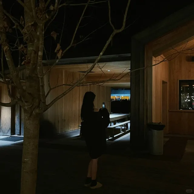 Boston/New York Surroundings: Cozy Fireplaces to Visit 🪵