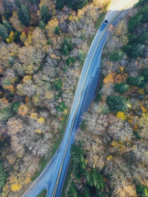 The Ultimate Fall Road Trip in the Smokies 🍂⛰️🐻