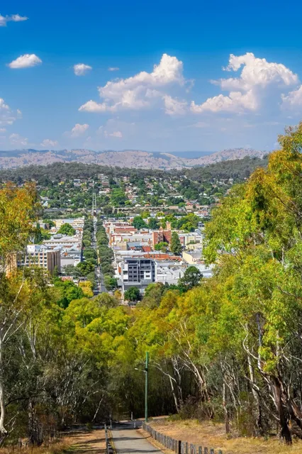 Albury: A Bird's-Eye Poetry 🕊️✨