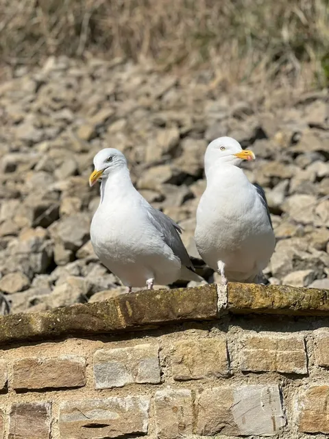 🇬🇧 Hastings | A Day Between Hills and Sea 🌄🌊