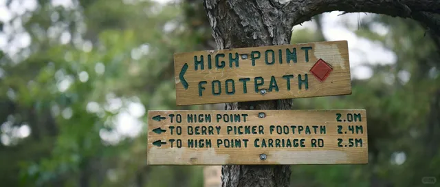 📸 Photographer's Solo Hiking Adventure | Sam's Point 🏞️