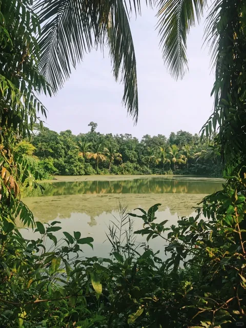 🌿 Sundarbans Detour: The Tiger Chase That Wasn't