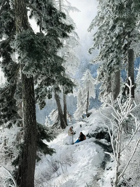 Snow Lake | A Moment of Gentleness in the Snow